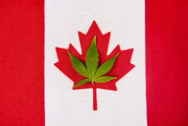 Canadian Flag and Marijuana Leaf, opioid prescriptions declining in Canada since marijuana legalization
