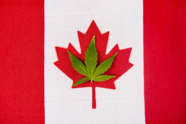 Opioid Prescriptions Declining in Canada Since Marijuana Legalization