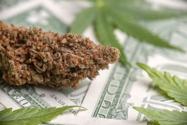 Top Cannabis Stocks for February 2021 1 Top Cannabis Stocks for February 2021, marijuana on top of dollar bills.
