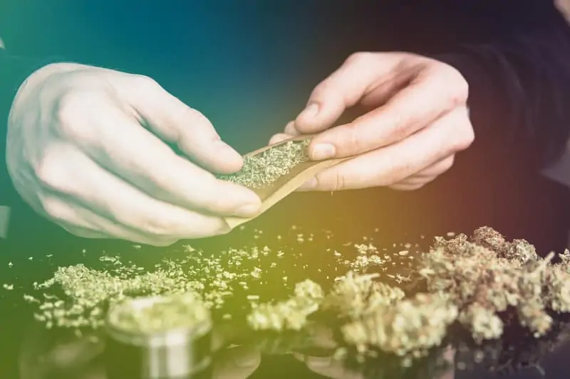 Why Democratic Control Is A Win For The Cannabis Industry 1 Why Democratic Control Is A Win For The Cannabis Industry. man rolling a cannabis joint