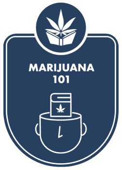 beginner marijuana course