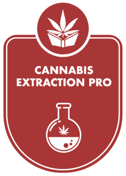 cannabis extraction course