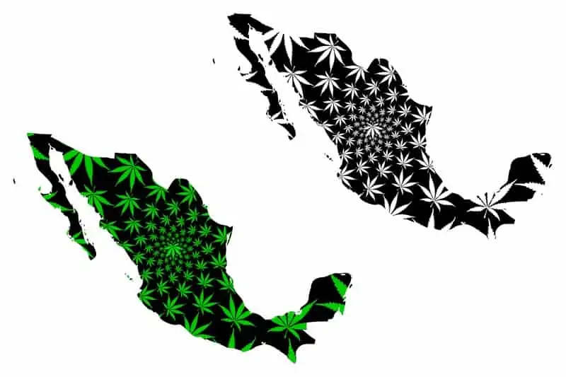 What Mexico Legalizing Cannabis Means For The US