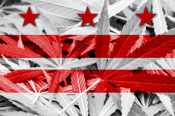 How to Get a Cannabis Job in Washington DC