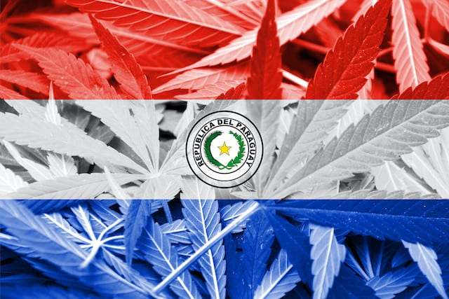 The Cannabis College Paraguay 1