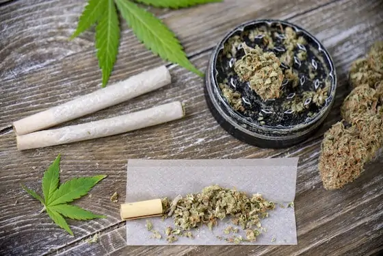 hemp pre rolls, cannabis bud, and cannabis leaves