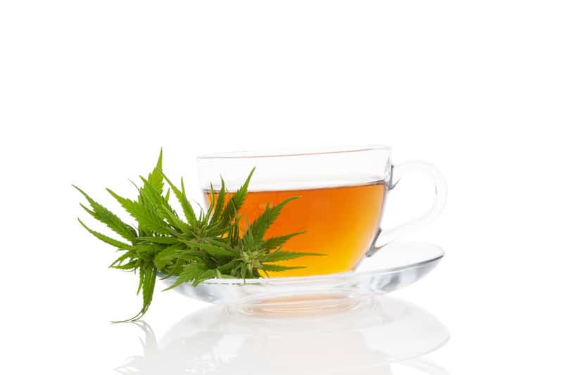 hemp tea and marijuana leaves
