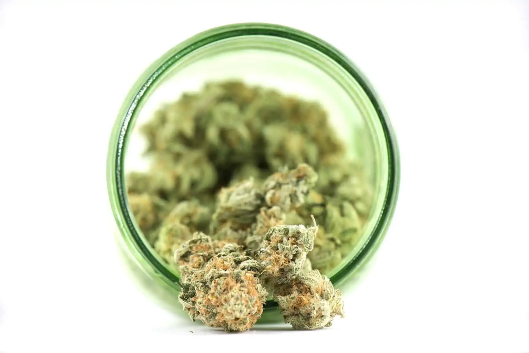 Dream N Sour Weed Strain Review & Information