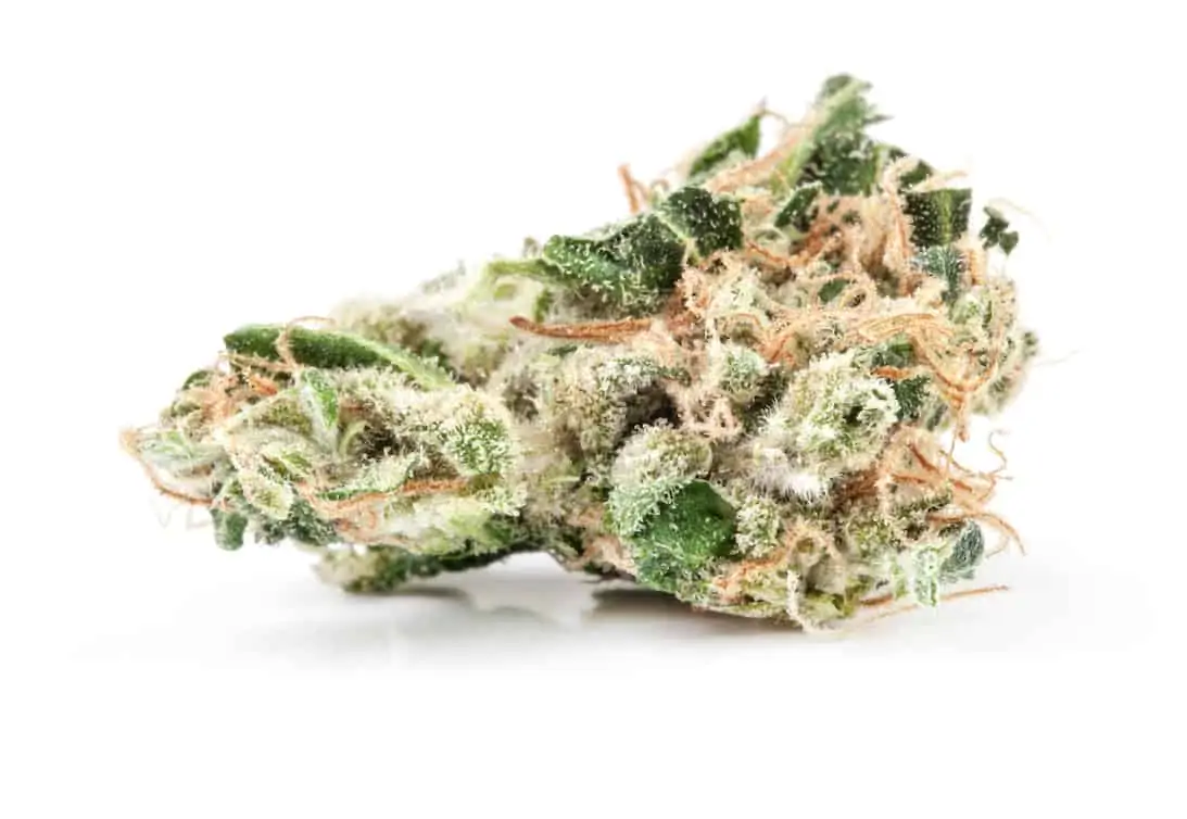 Tangerine Dream Weed Strain Review & Information