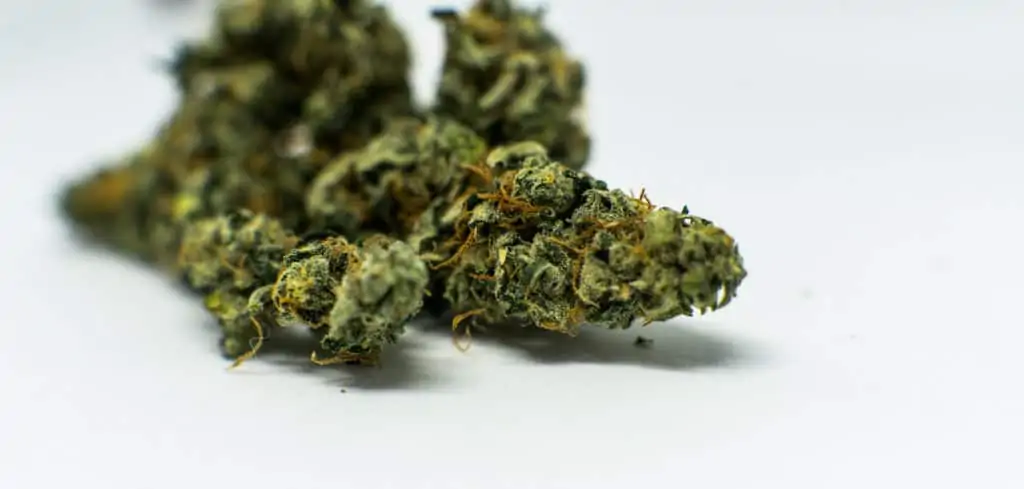marijuana buds on white surface, cookie jar strain