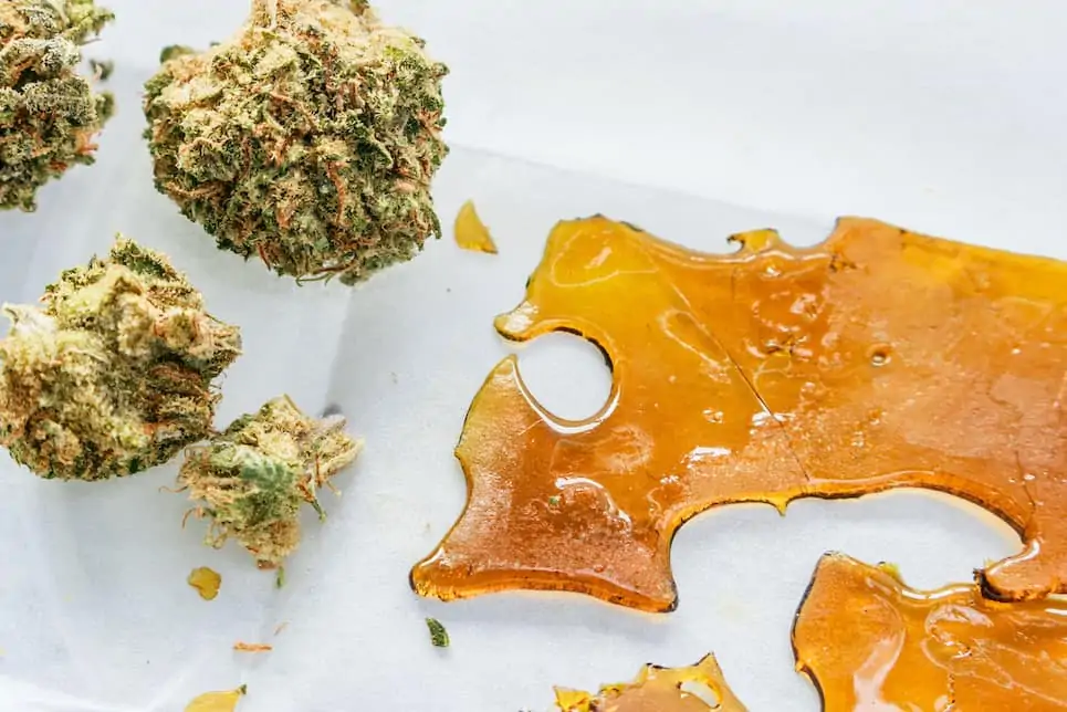 cannabis buds and wax, wax thc percentage guide