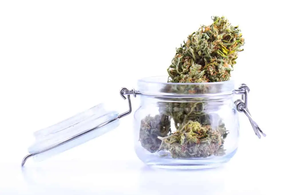 cannabis bud in glass jar on white surface, white 99 strain