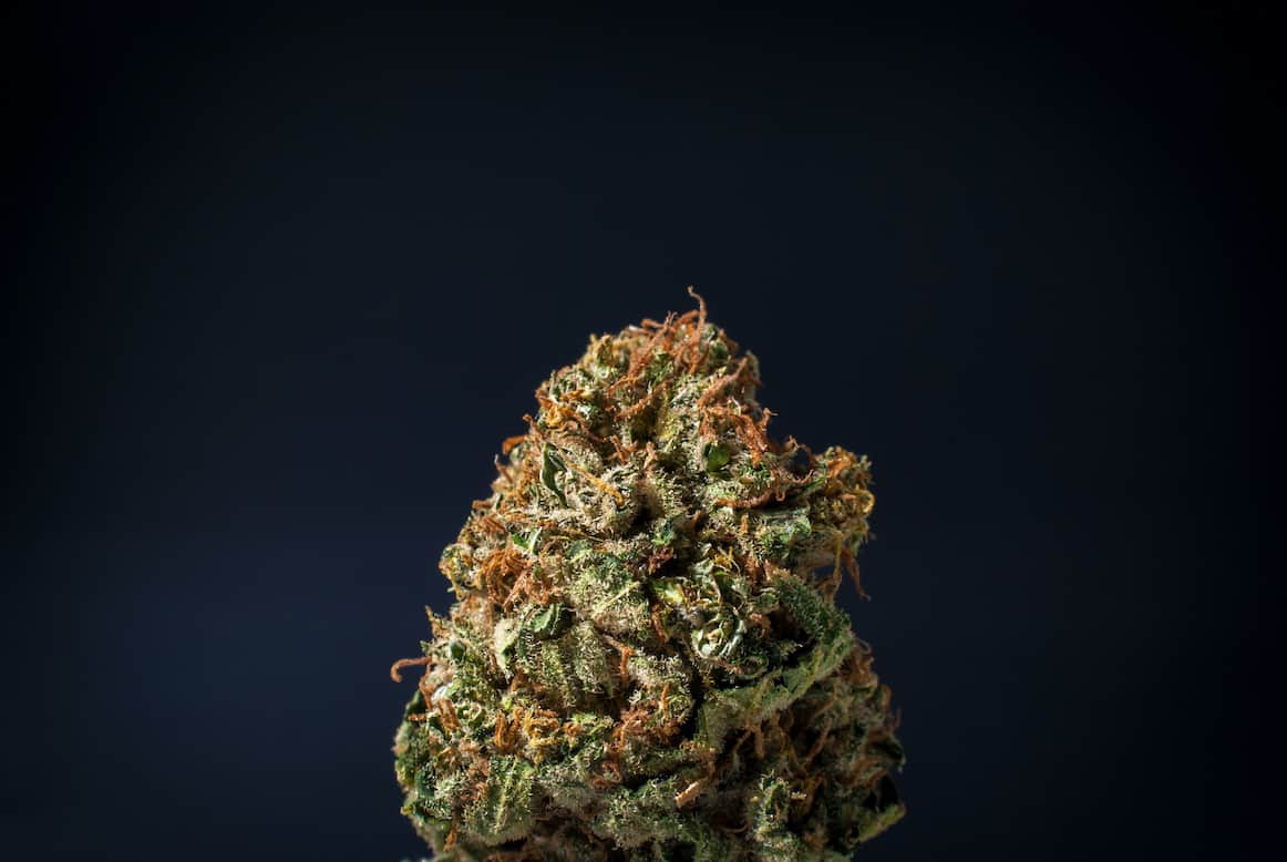 Blue Flame Weed Strain Review & Information