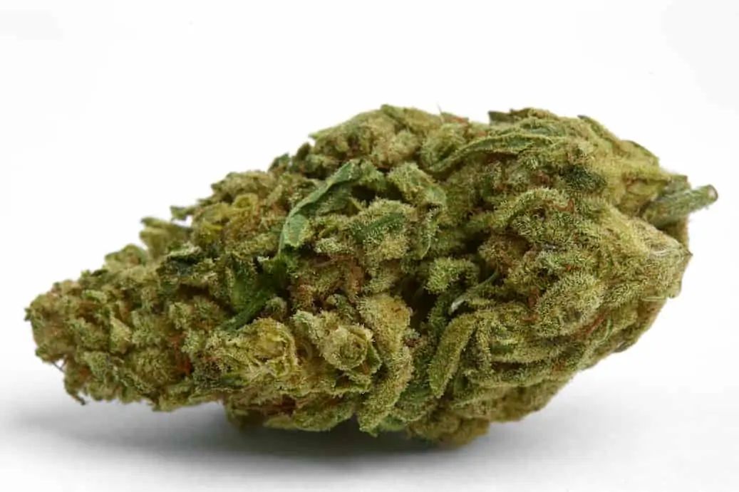 Cloud 9 Weed Strain Review & Information