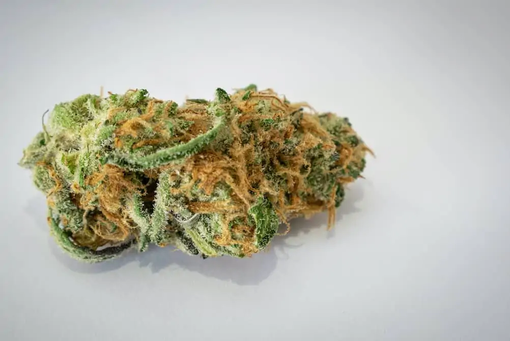 Cluster Funk Weed Strain Review & Information