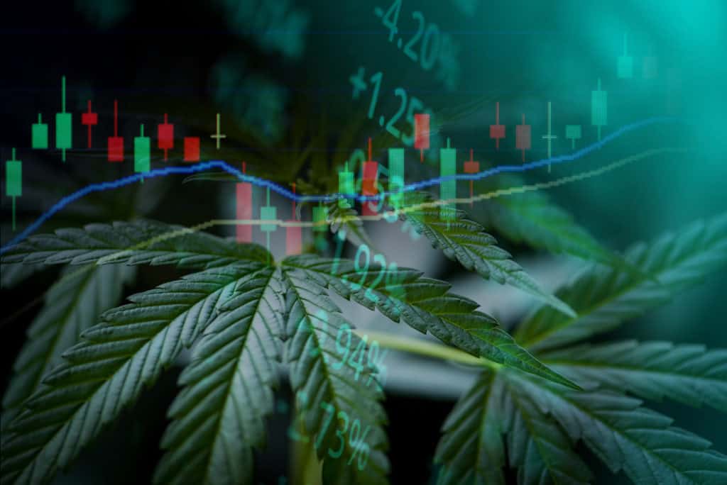 Top Cannabis Stocks for May 2021 1 marijuana leave and stocks graph, top cannabis stocks for may 2021