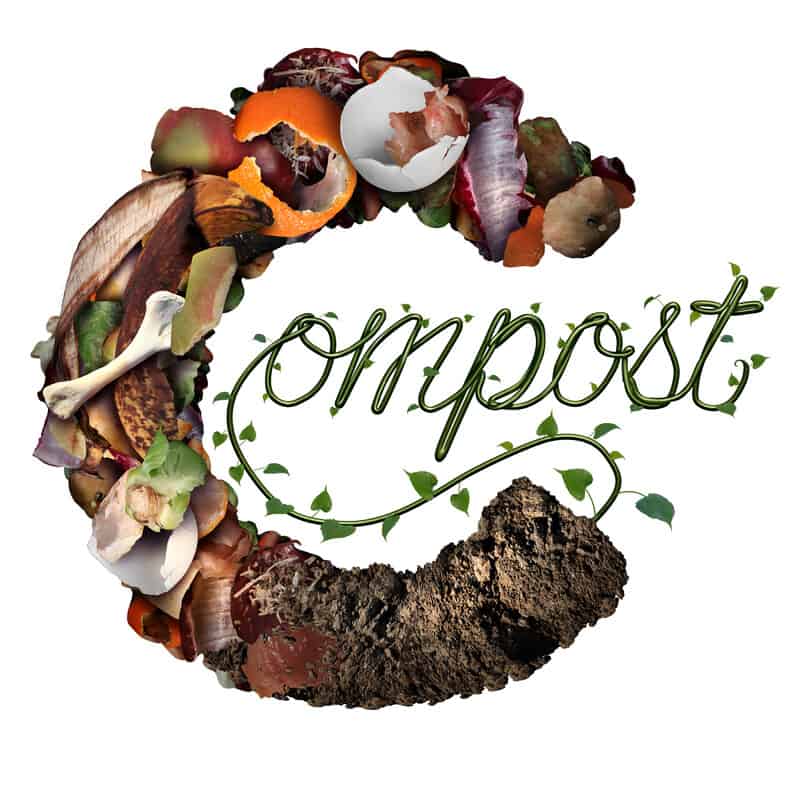 pile of compost isolated on white, benefits of growing cannabis with compost