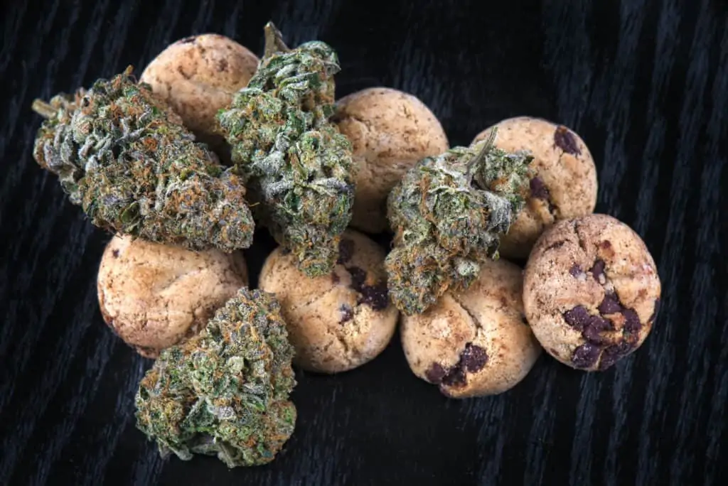 Cannabis nugs (forum cut cookies strain) and infused chocolate chips cookies strain