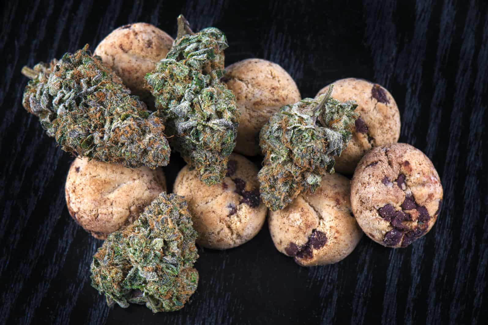 Chocolate Chip Cookies Weed Strain Review & Information
