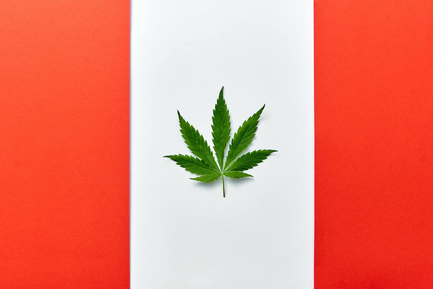 8 Fun Ways to Celebrate Canadian Cannabis Day