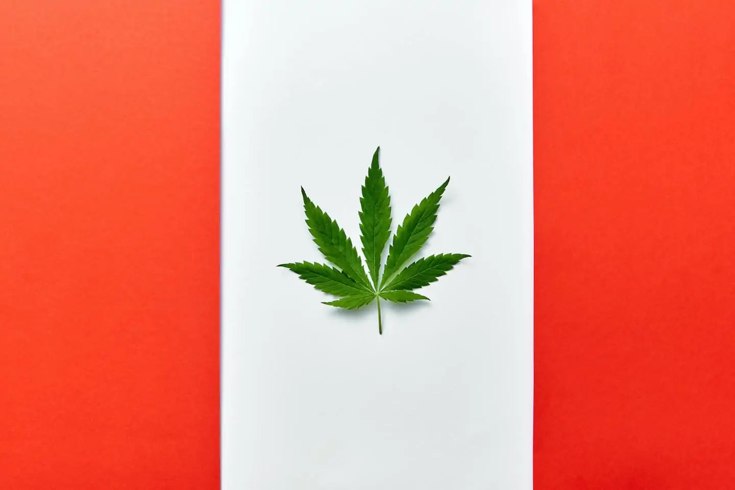 8 Fun Ways to Celebrate Canadian Cannabis Day