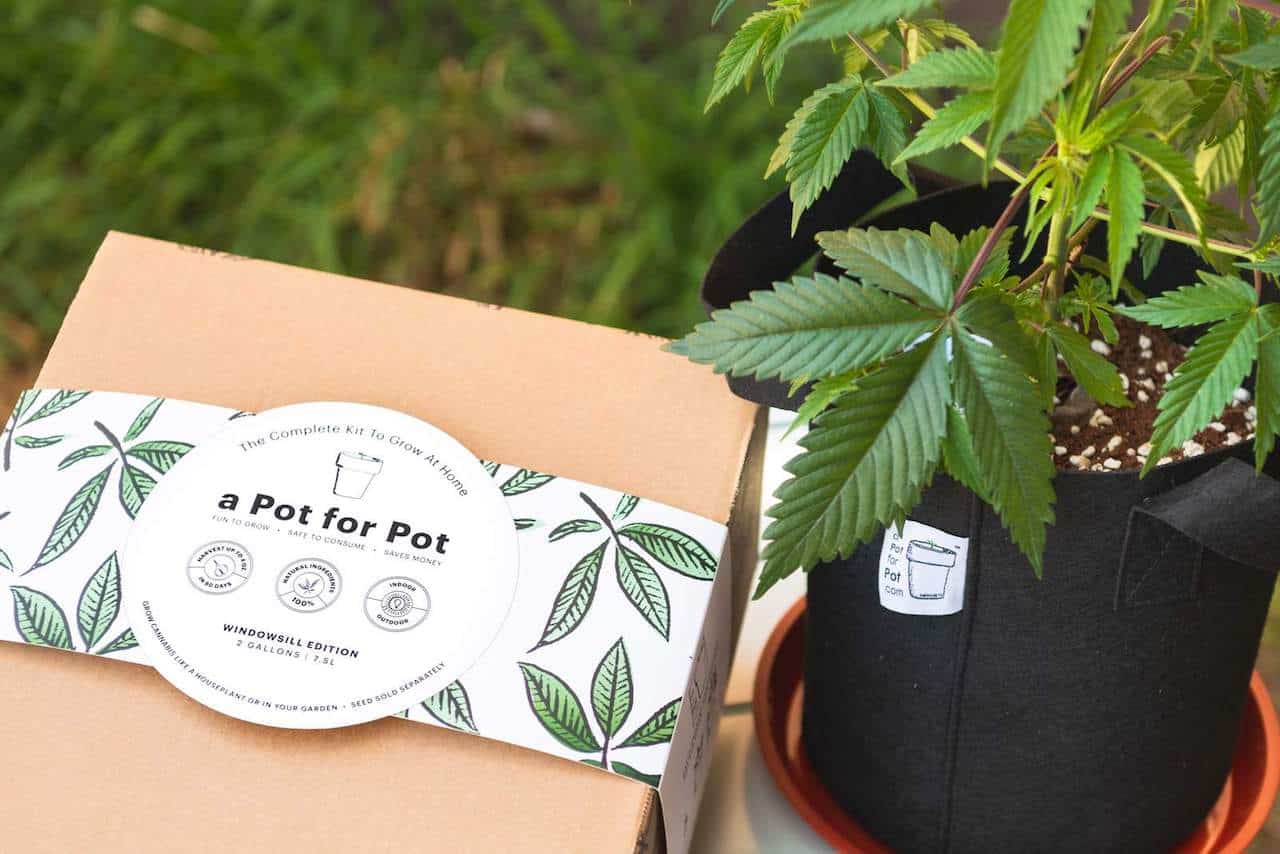 A Pot for Pot Reviews & Growing Guidance