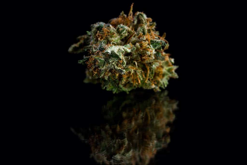 close up of a cut and trimmed bud of marijuana on a black reflective surface, Mac 1 strain