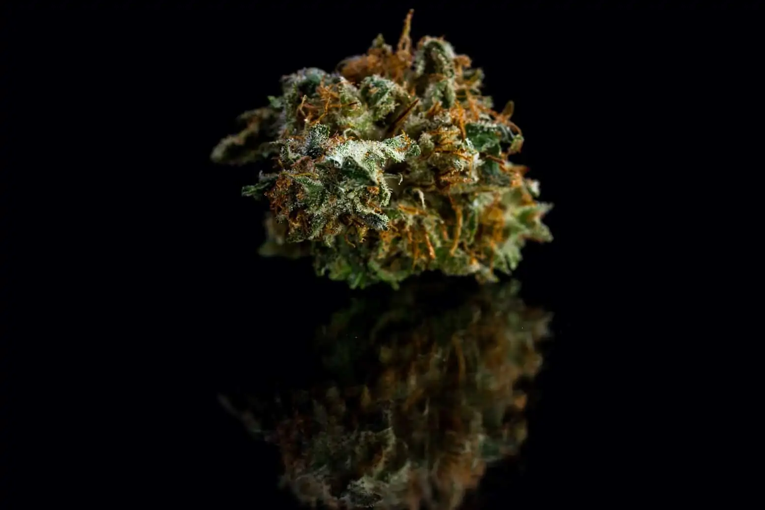 Mac 1 Weed Strain Review & Information