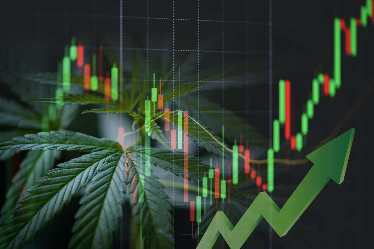 Top Cannabis Stocks for June 2021