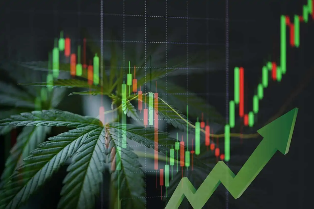 Top Cannabis Stocks for June 2021