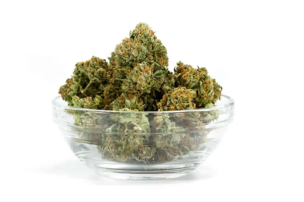 clear glass bowl filled with freshly clipped cannabis buds over a white background, trophy wife strain