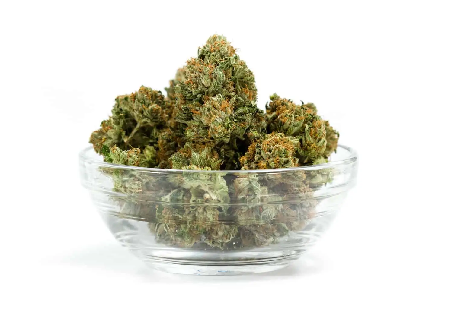 Trophy Wife Weed Strain Review & Information