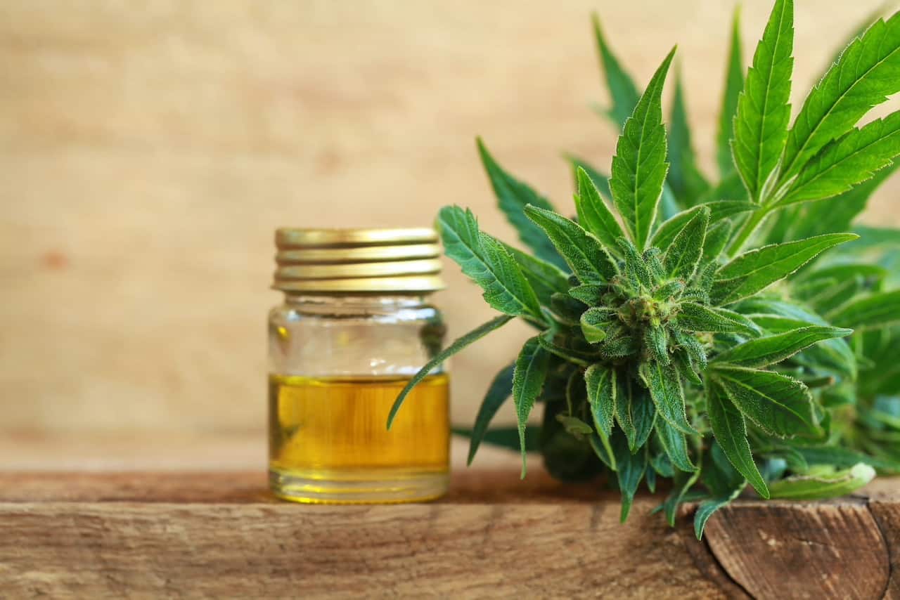 Why the Massive Hype About Terpenes in CBD Oil?