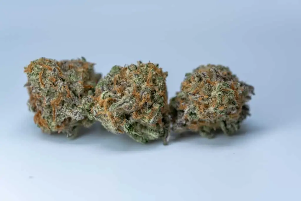 three cannabis nuts isolated on blue, Mac strain