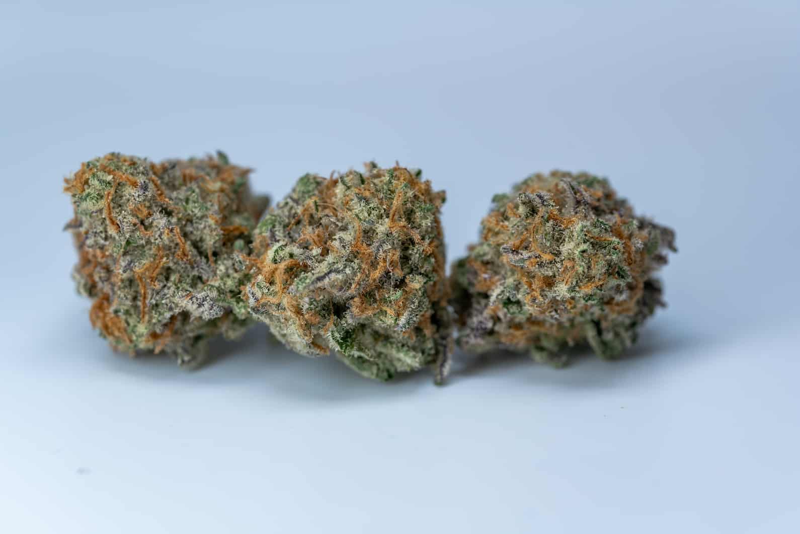 MAC Weed Strain Review & Information