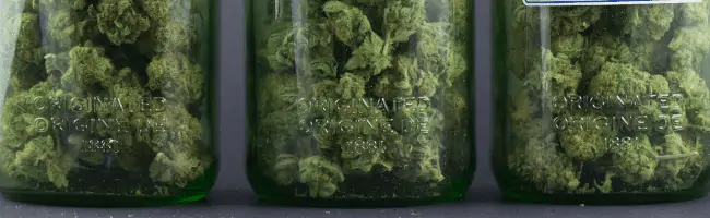 cannabis jars, hot strains for summer
