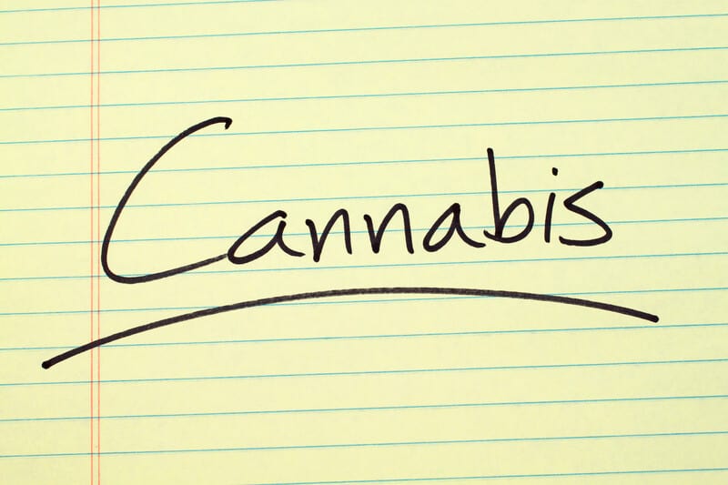 cannabis written on notepad, New Jersey cannabis college