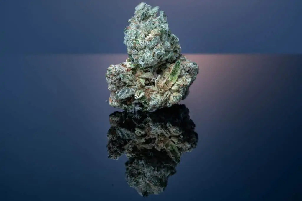 Cannabis Flower Macro, purple cookies strain