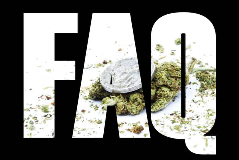 FAQ sign in white with cannabis buds in the background, questions about marijuana 