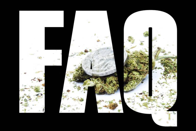 Answers to the Most Common Questions About Marijuana 1 FAQ sign in white with cannabis buds in the background, questions about marijuana
