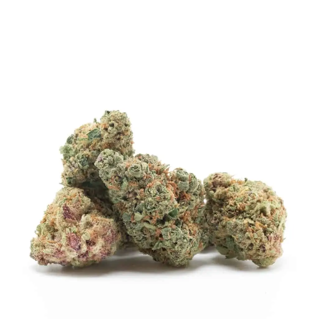 cannabis buds on isolated white