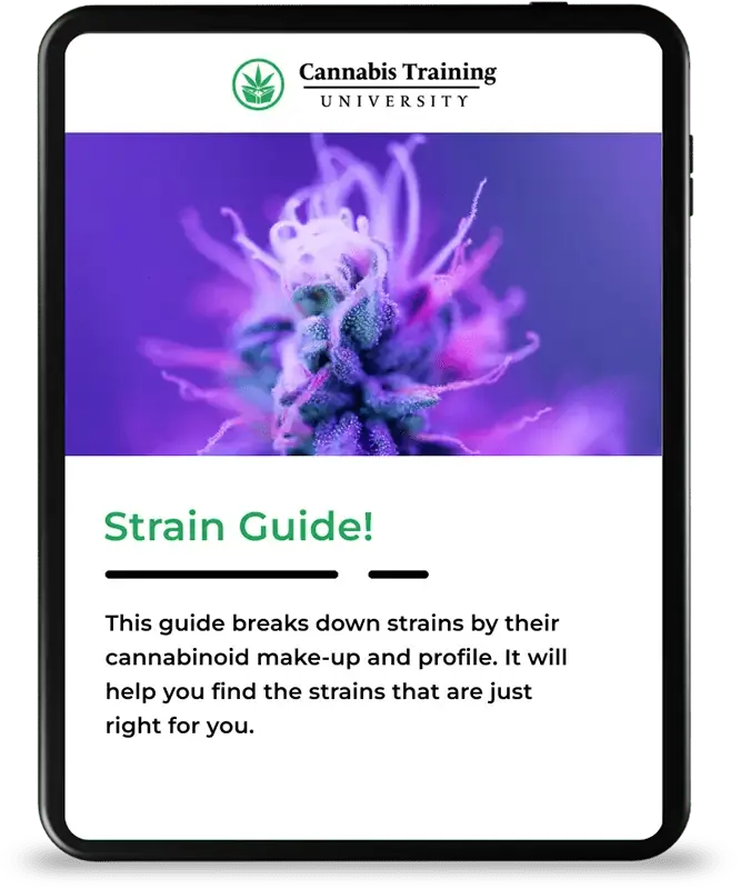 Free Marijuana Strain Guide - Learn To Evaluate Strains