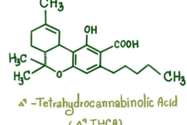Structure of delta-9-Tetrahydrocannabinolic acid, thca vs thc
