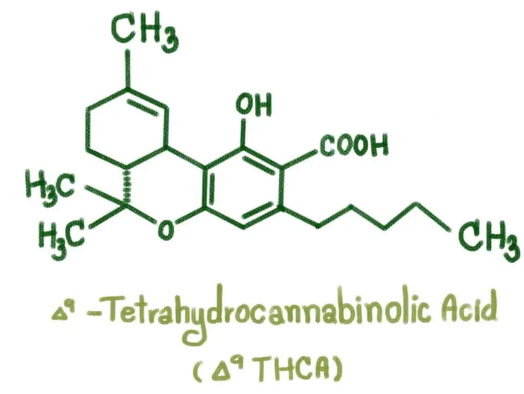 Structure of delta-9-Tetrahydrocannabinolic acid, thca vs thc