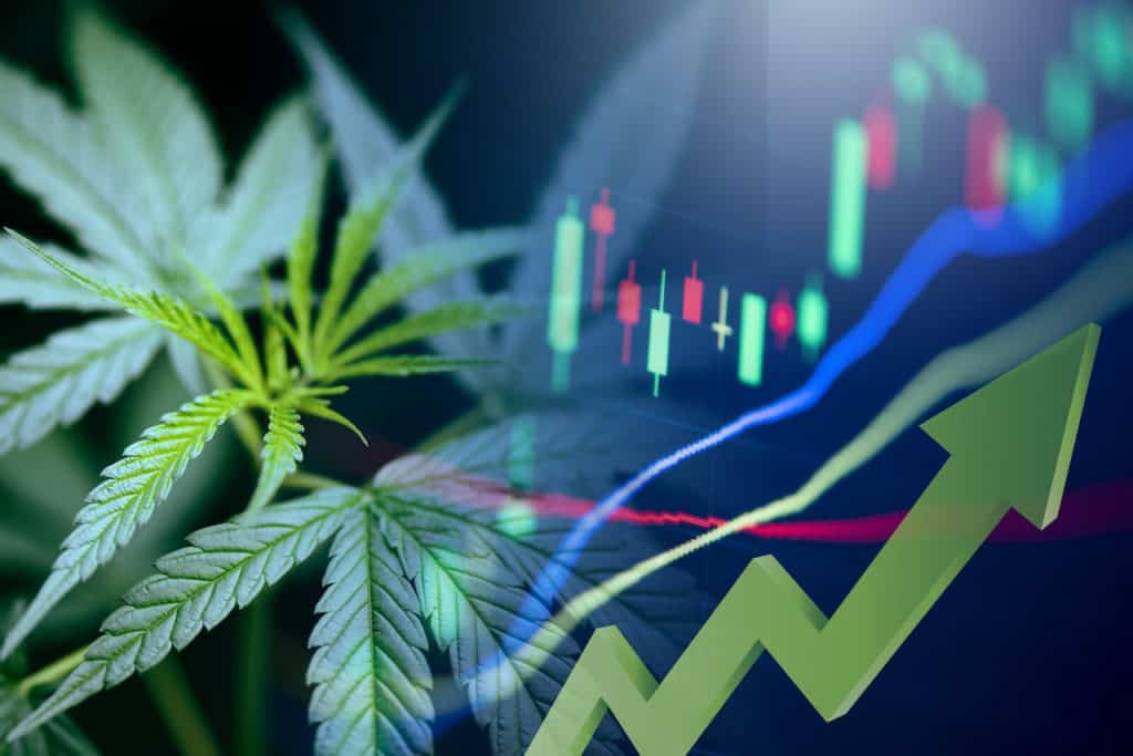stock graph with marijuana leaves, best marijuanas stocks 2021
