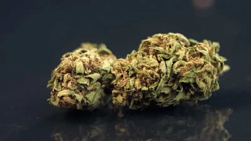 G Wagon Weed Strain Review & Information