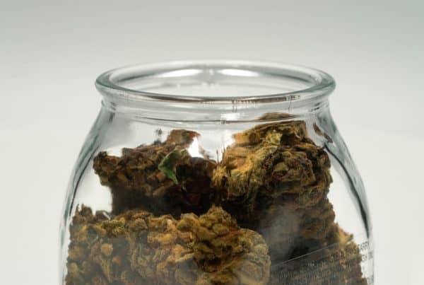 brown cannabis buds in glass jar, marijuana legalization