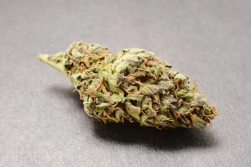 gorilla glue cannabis on white surface