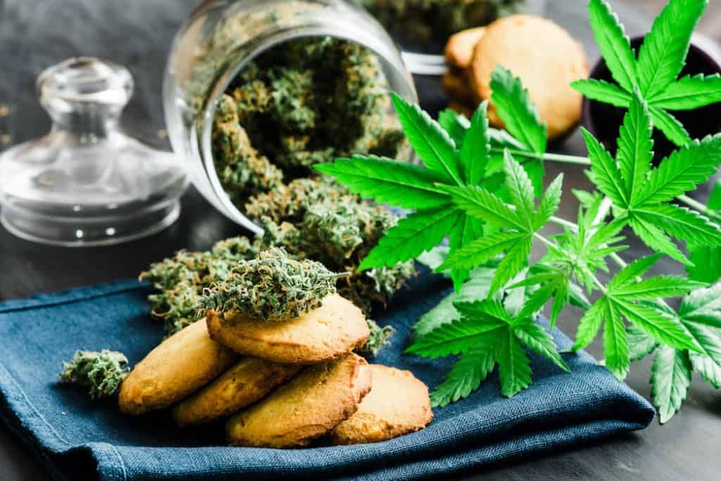 Cookies with cannabis buds cannabis leaves on a table, sugar cookies strain