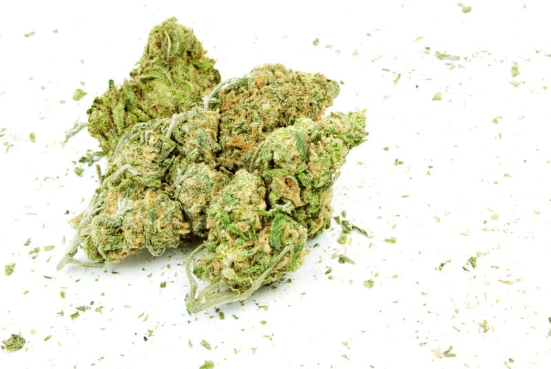 marijuana buds on isolated white, wifi og strain